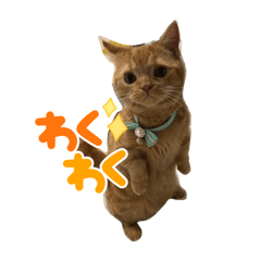 [LINEスタンプ] むぎスタンプver2