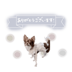 [LINEスタンプ] ♡たえこ 様