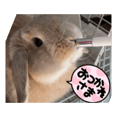 [LINEスタンプ] かわいいるーたん2