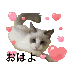 [LINEスタンプ] animal1150