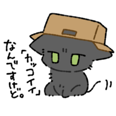 [LINEスタンプ] ツンツンにゃんこ