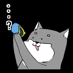 [LINEスタンプ] よく使う黒柴犬スタンプ【ネタ編】