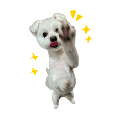 [LINEスタンプ] LOVE たる2