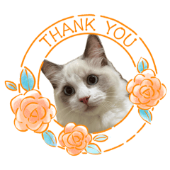 [LINEスタンプ] animaru116