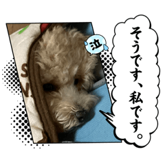 [LINEスタンプ] ゆめゆめ きき スタンプ