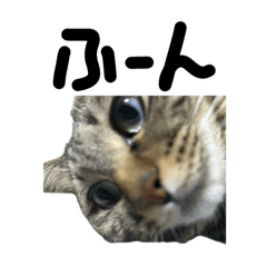 [LINEスタンプ] つくね？