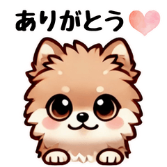 [LINEスタンプ] ふわもこポメラニアンのきもち