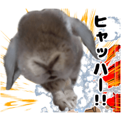 [LINEスタンプ] ロップイヤーのモフのスタンプ その①