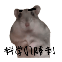 [LINEスタンプ] ニュートン博士、ご立派な眉毛ですな！編