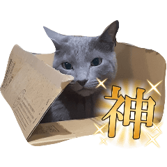 [LINEスタンプ] 使いやすいアロンのスタンプ