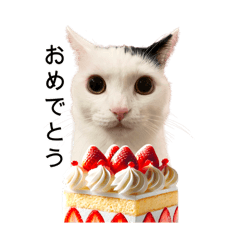 [LINEスタンプ] まつもとたける 誕生日