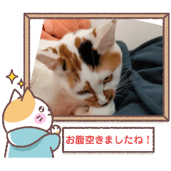 [LINEスタンプ] 敬語版のイト・トロ・マシュのスタンプ