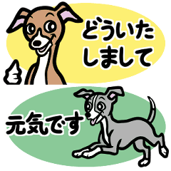 [LINEスタンプ] 省スペースで使いやすいイタグレ達スタンプ