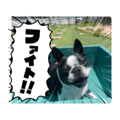 [LINEスタンプ] パワフル！ヨウヨウ！