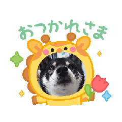 [LINEスタンプ] 動く姫ちゃん夢ちゃん5