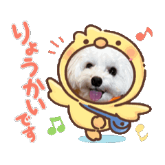 [LINEスタンプ] マルプーのおもちと猫のにゃこた2
