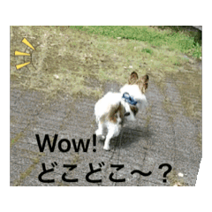 [LINEスタンプ] レオの休日❗️