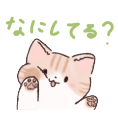 [LINEスタンプ] 日常で使える！いろいろねこちゃんスタンプ
