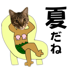 [LINEスタンプ] お酒とネコ好きな日常会話30夏の感じver.