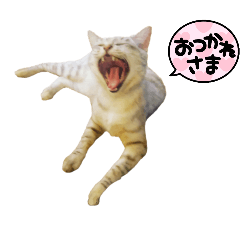 [LINEスタンプ] みーちゃんのスタンプはここ