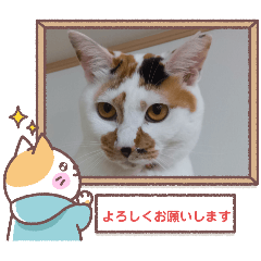 [LINEスタンプ] 第2弾の敬語版のスタンプ