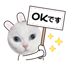 [LINEスタンプ] 白猫のきゆこ