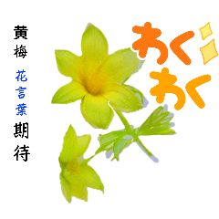 [LINEスタンプ] プレゼントの参考にもなる花言葉スタンプ