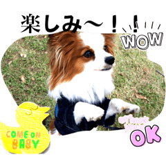 [LINEスタンプ] 休日のレオ