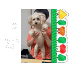 [LINEスタンプ] 動くメル⑦