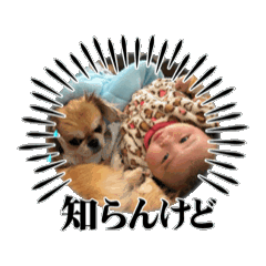 [LINEスタンプ] スリーシスターーーーーズ