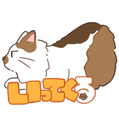 [LINEスタンプ] むすっとねこ