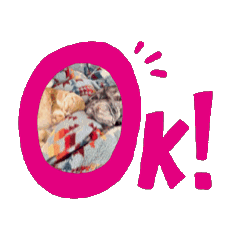 [LINEスタンプ] うちのうごく猫ちゃんスタンプ