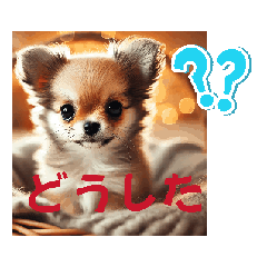 [LINEスタンプ] Cuteness Overload10