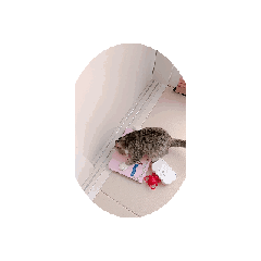 [LINEスタンプ] 德田  むさし  お茶目スタンプ