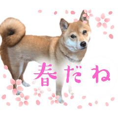 [LINEスタンプ] 福ちゃんだね♡春だね編