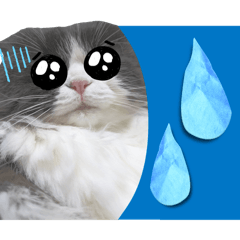 [LINEスタンプ] coco 敬語ver.