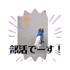 [LINEスタンプ] レオの部活❣️