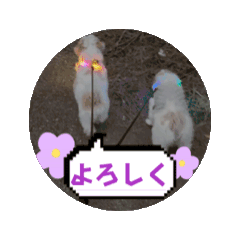 [LINEスタンプ] ラララスク
