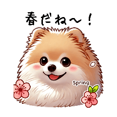 [LINEスタンプ] ぽかぽかポメ春日和