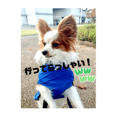 [LINEスタンプ] こんにちは、レオ❗️