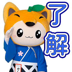 [LINEスタンプ] 「実写版」かし丸くん