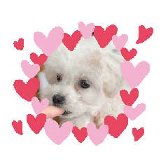 [LINEスタンプ] うごく！ゆめちゃん