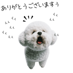 [LINEスタンプ] 仕事で使えるビションフリーゼ