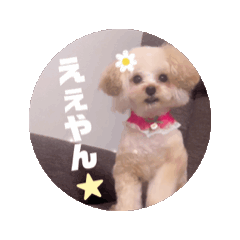 [LINEスタンプ] ウルウルBABY