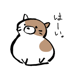 [LINEスタンプ] もちもちしたねこ(よく使う言葉とあいさつ)