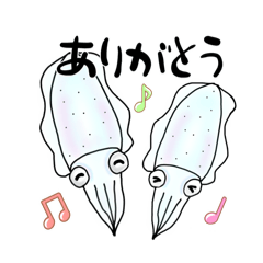 [LINEスタンプ] アオリイカ好きが作ったスタンプ