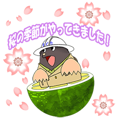 [LINEスタンプ] すだちもぐ太13 春が来た！