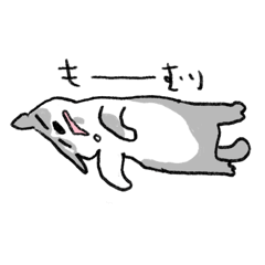 [LINEスタンプ] 小さな小さなコアラちゃん