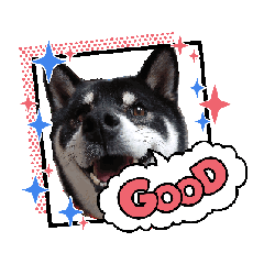 [LINEスタンプ] 動く姫ちゃん夢ちゃん6