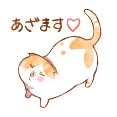 [LINEスタンプ] 毎日使える☆猫のるぅさんスタンプ